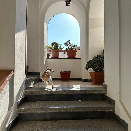 Couette-café Frai 4*