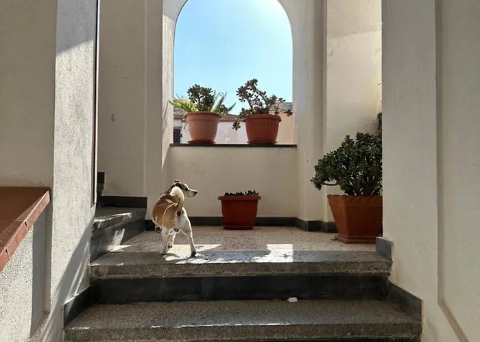 Bed & Breakfast Frai 4*