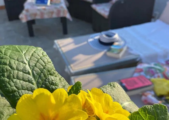 Bed & Breakfast Frai